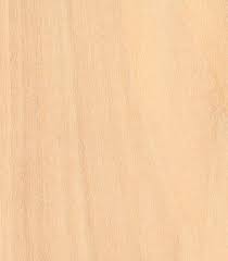 Bass Ply 3.0 x 300 x 900