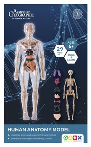 Australian Geographic Human Anatomy Model