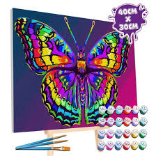 Butterfly Paint by Numbers