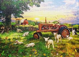 Cobble Hill  Field at Sunrise, 1000pc, Compact