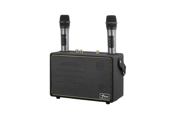 Wireless Karaoke Speaker with 2 Microphones - Black