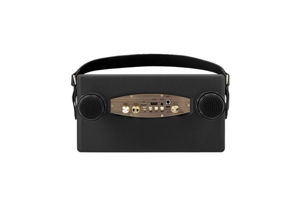 Wireless Karaoke Speaker with 2 Microphones - Black