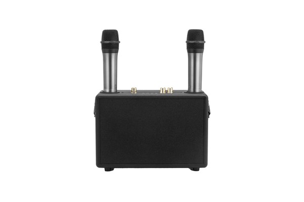 Wireless Karaoke Speaker with 2 Microphones - Black