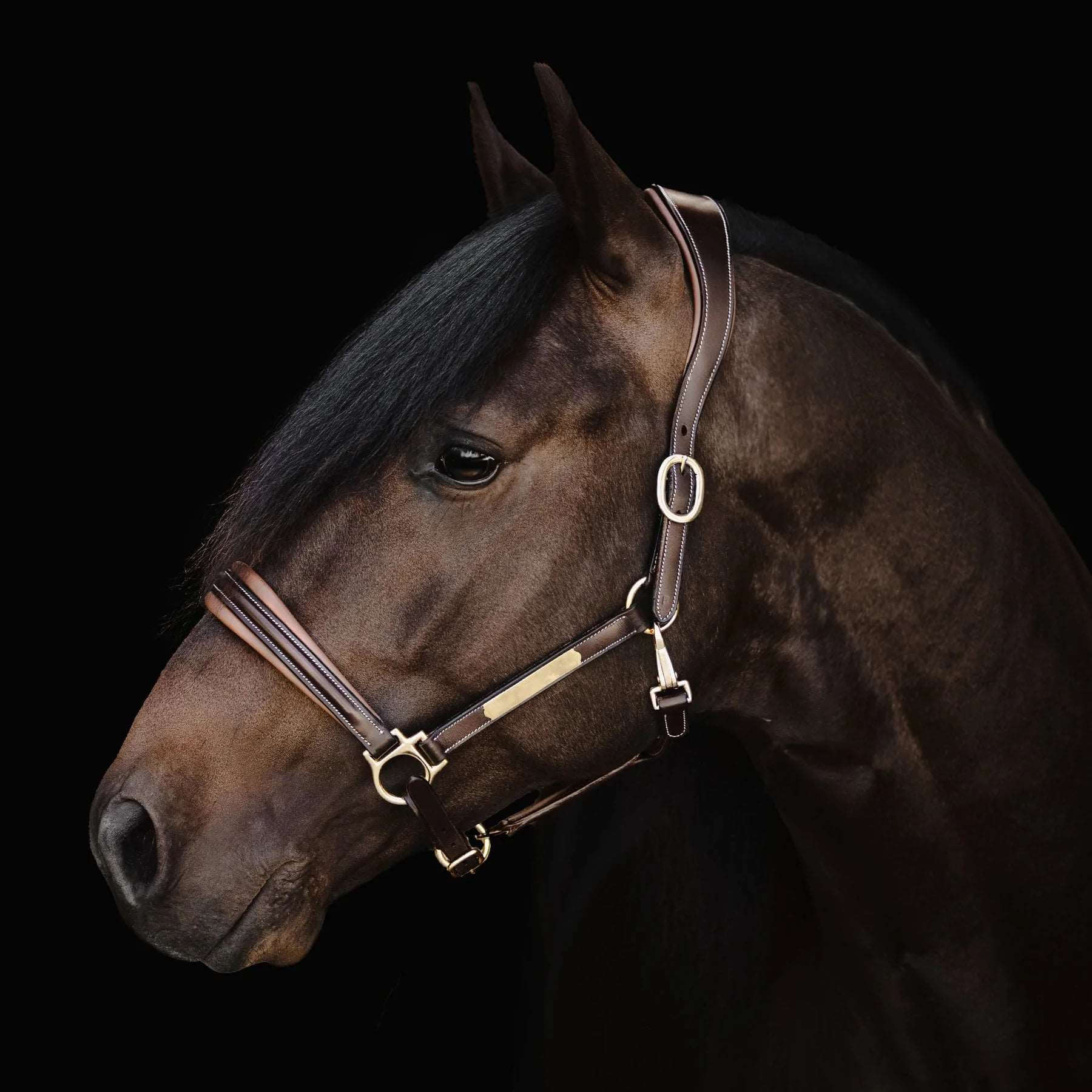 Lumiere Bella Halter