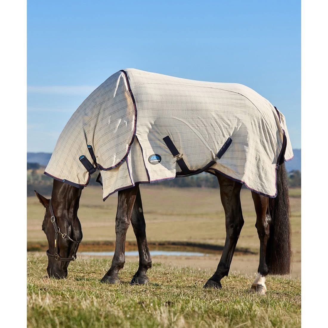 Weatherbeeta Cotton Summer Sheet Combo  4’6