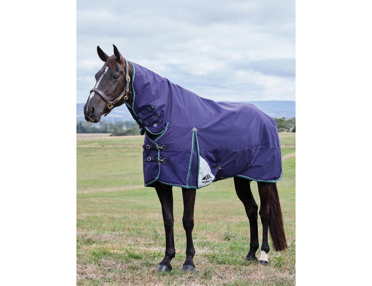 Weatherbeeta Comfitec Plus Dynamic Combo 100gm Navy/Forest Green 5'3