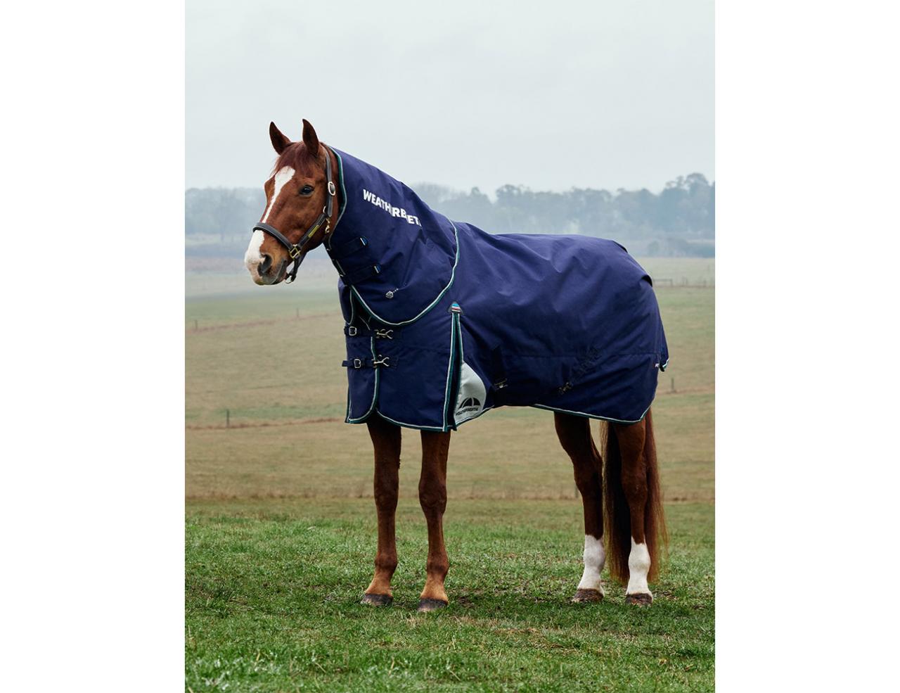 Weatherbeeta Comfitec Plus Dynamic DAN 0gm Navy/Forest Green 5'3