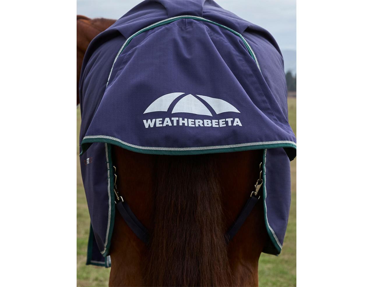 Weatherbeeta Comfitec Plus Dynamic DAN 0gm Navy/Forest Green 5'3