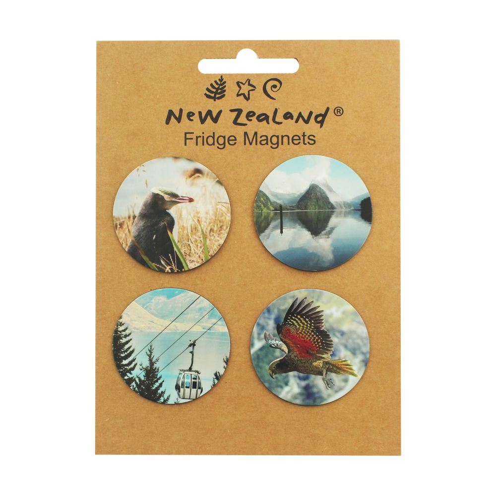 Magnet NZ 4pc Set Sth Island 55mm