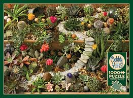 Cobble Hill - Succulent Garden - 1000pc Compact