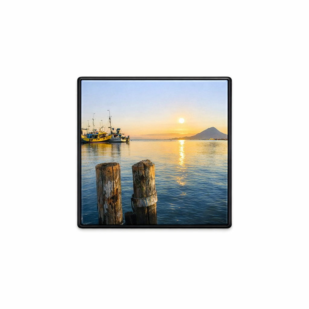 Coasters - Port Maunganui