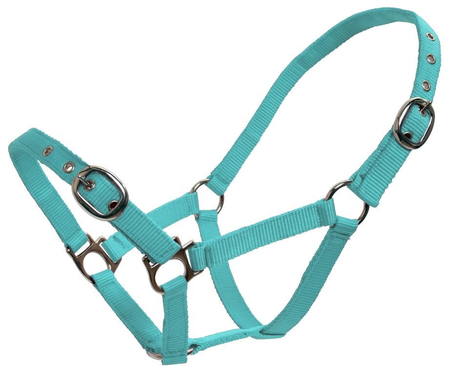 Flair Web Halter 19mm  Mini Light Blue