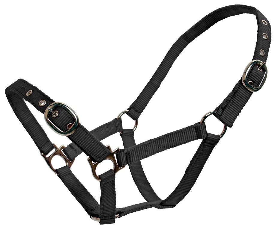 Flair Web Halter 19mm Black Mini