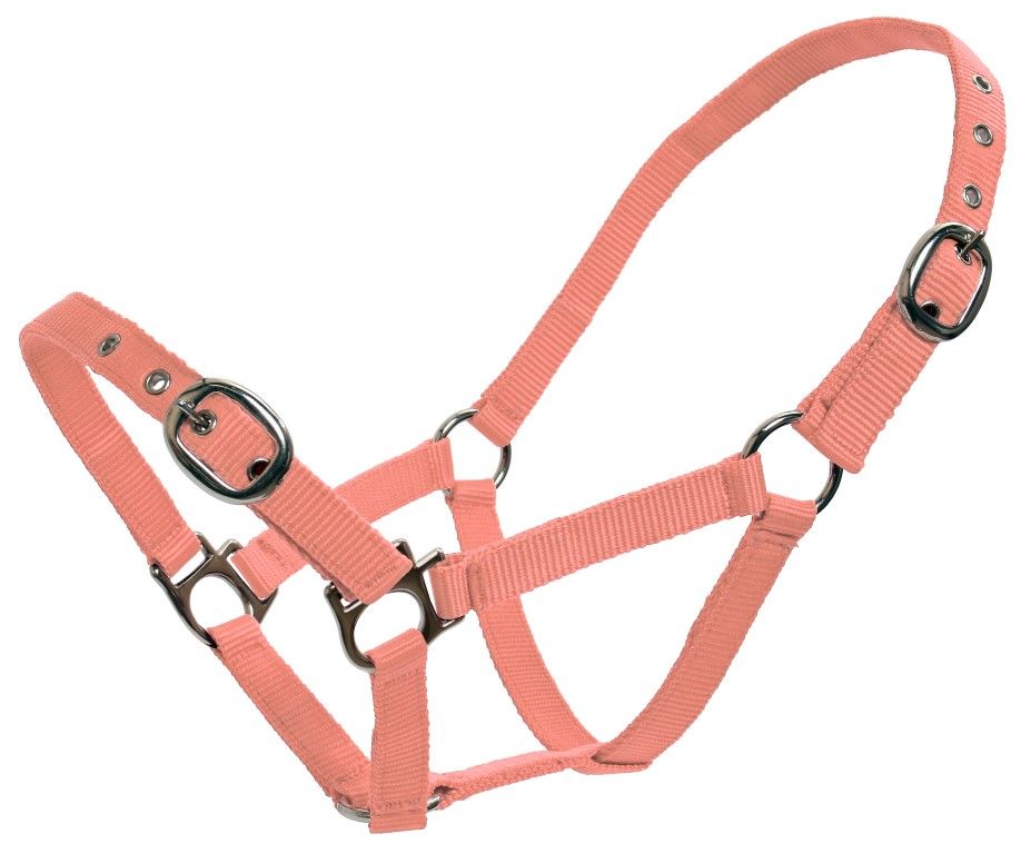 Flair Economy Web Halter 19mm Pink Weanling
