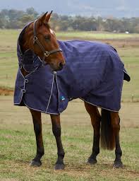 Weatherbeeta Comfitec Prelim Std Neck 220gm Navy Plaid 3'9