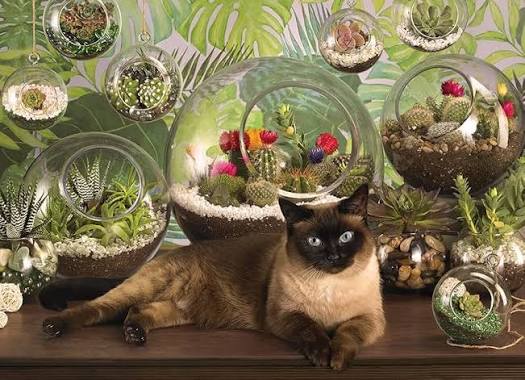 Cobble Hill - Terrarium Cat - 1000pc Compact