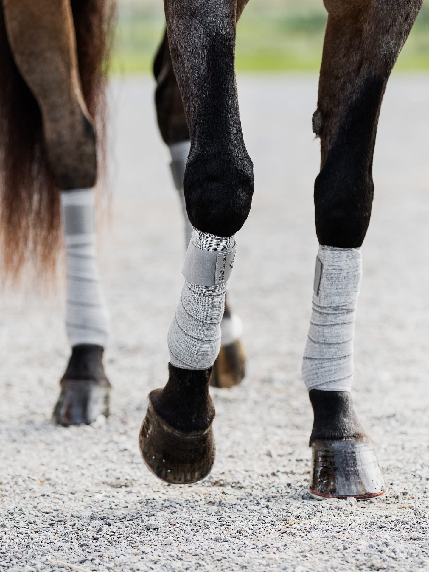 Incrediwear Equine Circulation Exercise Bandages Regular Pair Grey