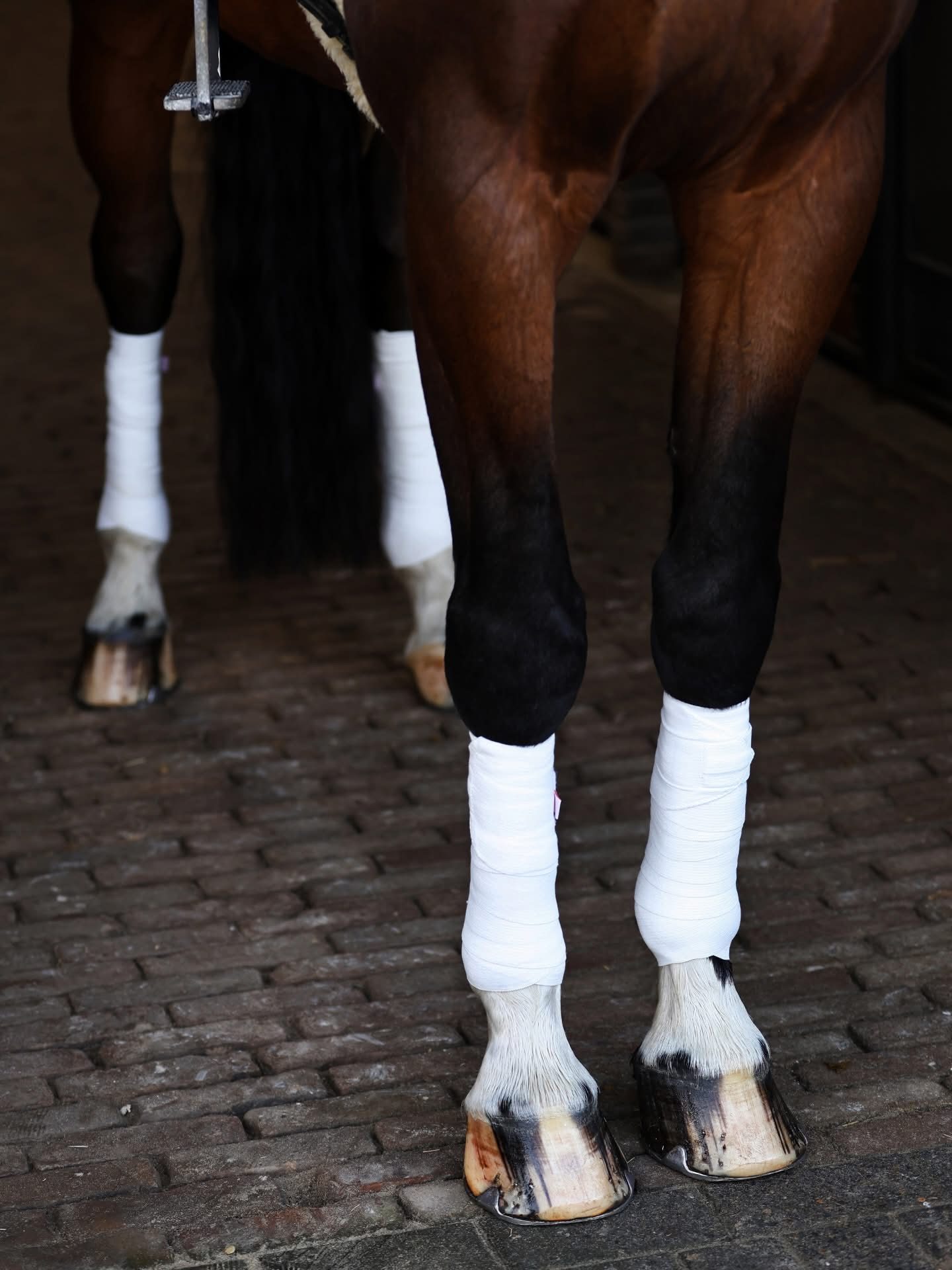 Incrediwear Equine Circulation Exercise Bandages Regular Pair White