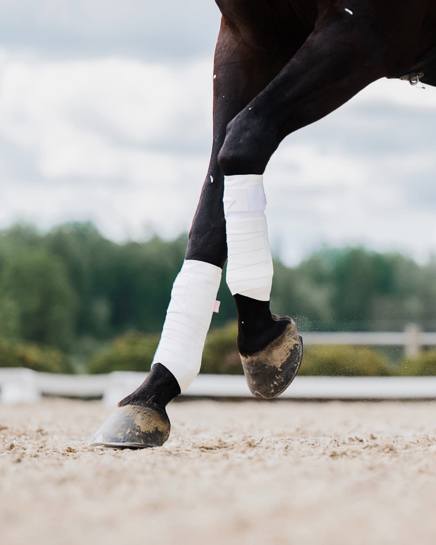 Incrediwear Equine Circulation Exercise Bandages Regular Pair White