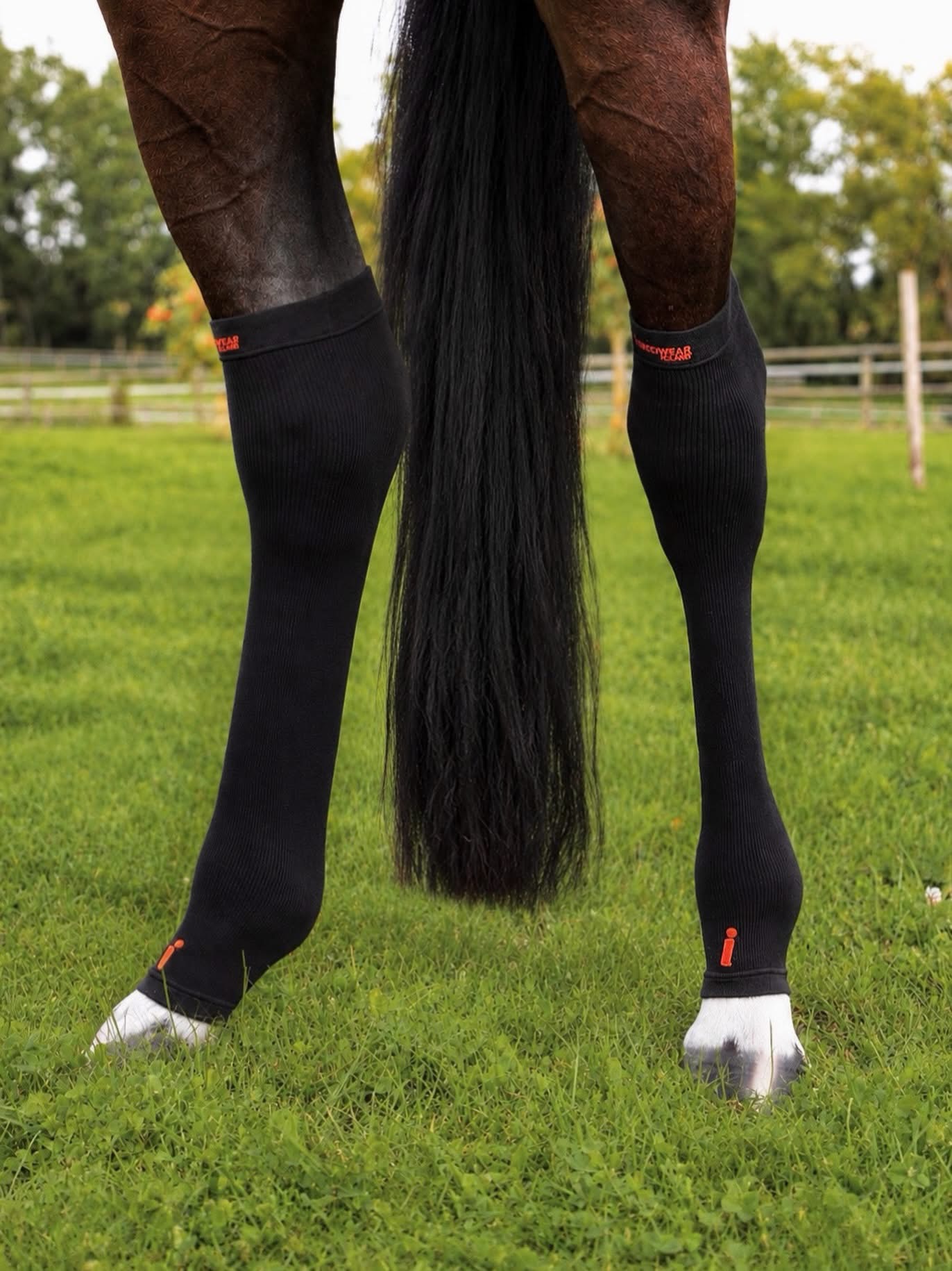 Incrediwear Equine Circulation Hock Sleeves Pair