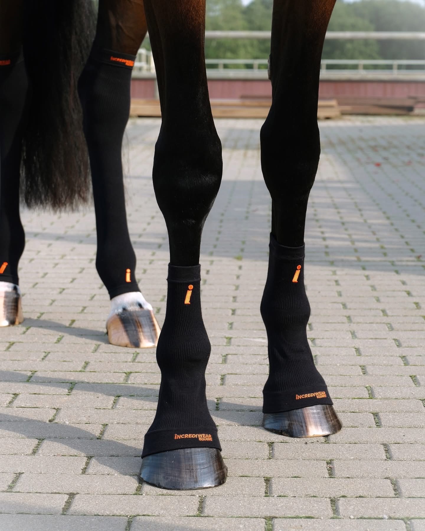 Incrediwear Equine Circulation Hoof Socks Set of 2 Black