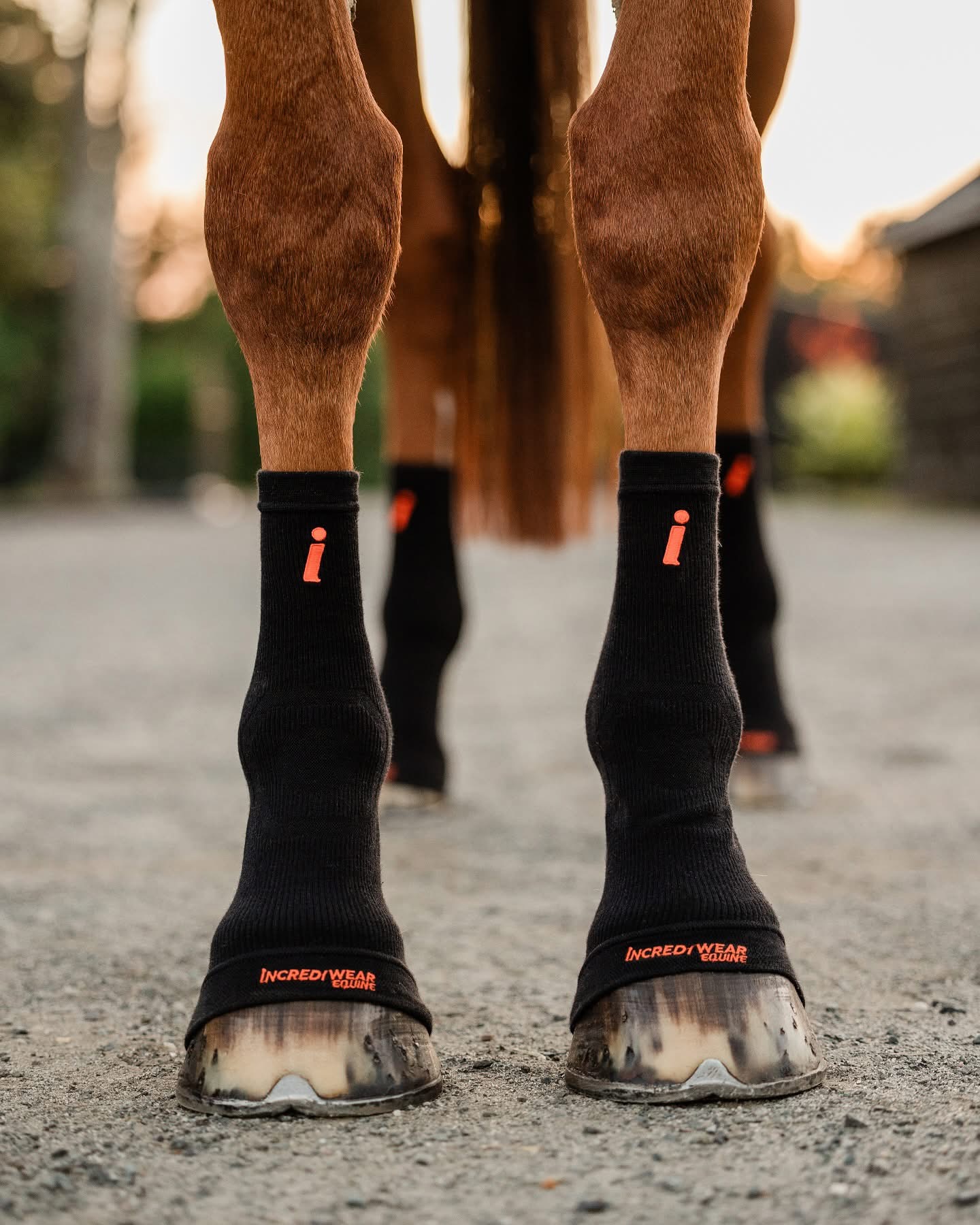 Incrediwear Equine Circulation Hoof Socks Set of 2 Black