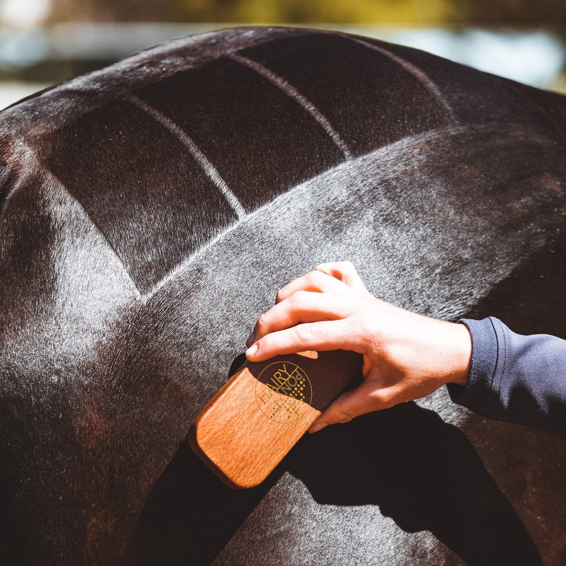 Hairy Pony Quarter Marker Brush