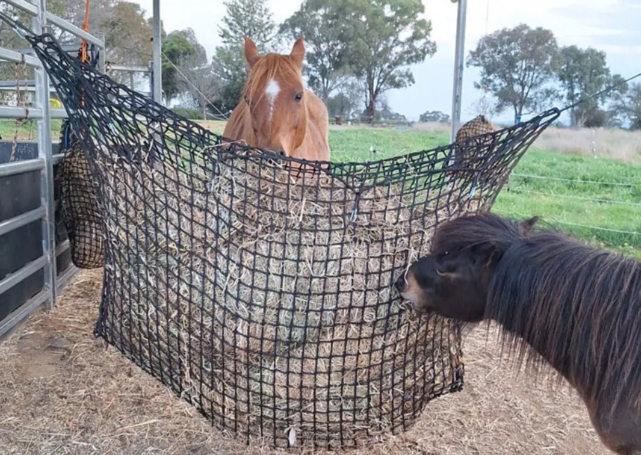 Hay-Stay Hanging Knotless Hay Net - 40mm Holes
