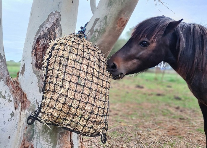 Knotted Hay Nets - Small - 40mm Holes