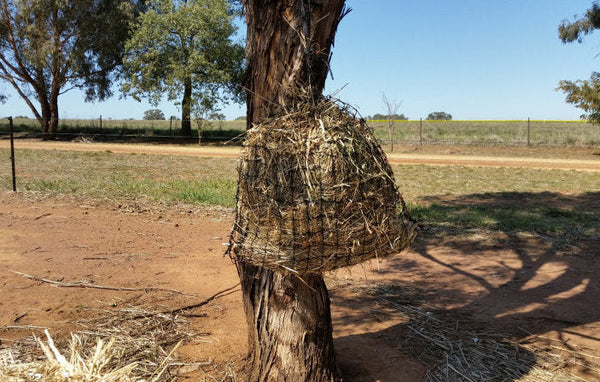 Knotted Hay Nets - Small 30mm Holes - With Clip