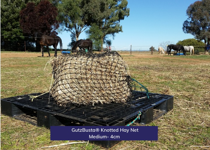 Knotted Hay Nets - Medium 40mm Holes- Clip Included