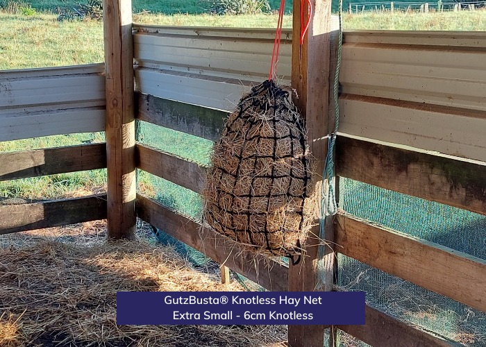 Knotted Hay Nets Free and Easy - Small 60mm Holes - With Clip