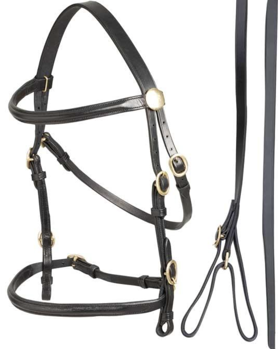 Aintree Leather Inhand Bridle Brown Extra Small