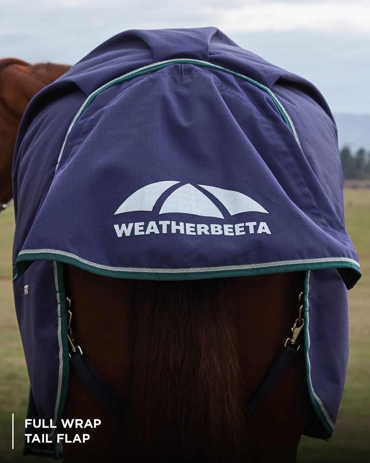 Weatherbeeta Plus Dynamic DAN 220gm Navy/Forest Green 4'3