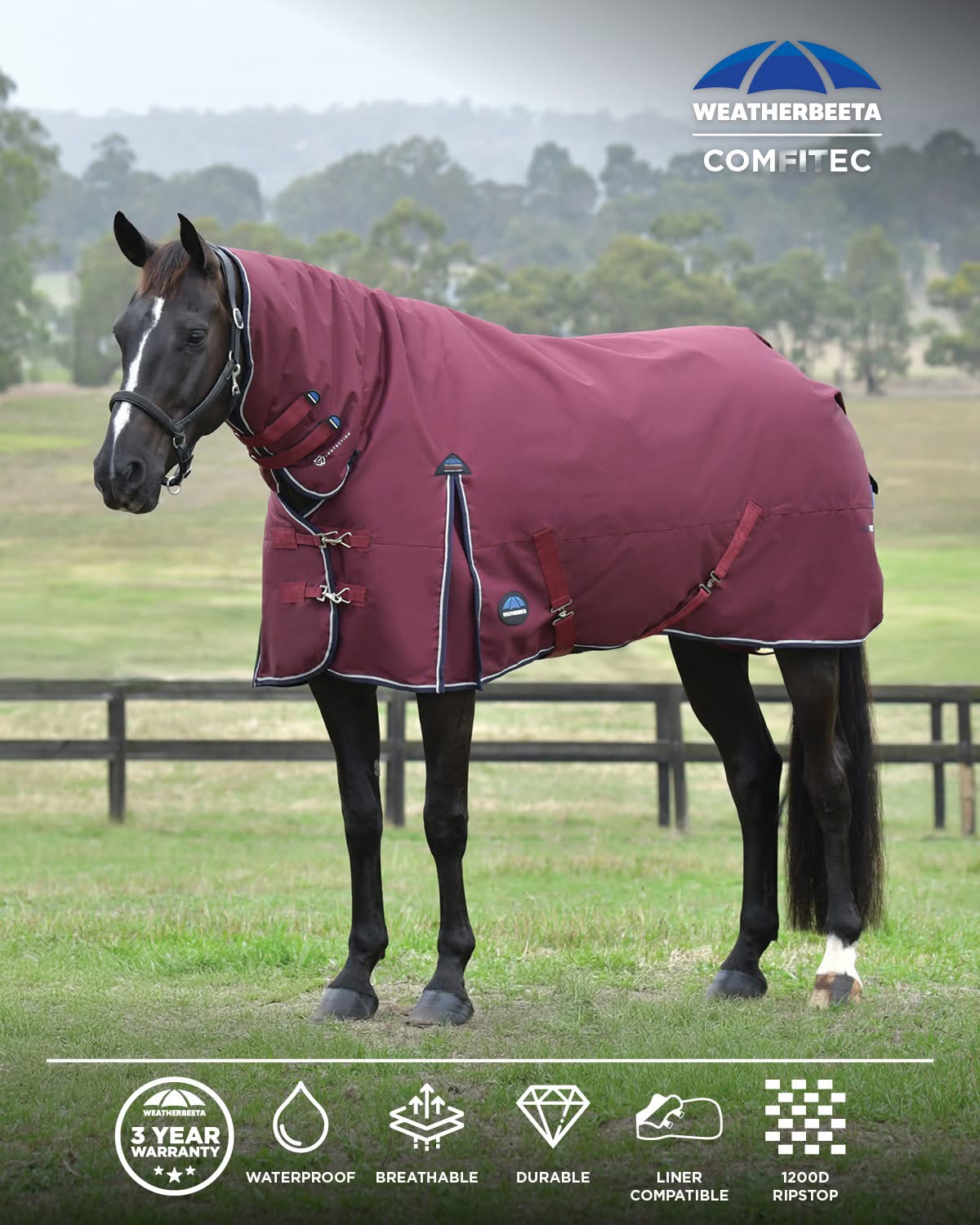 Weatherbeeta Comfitec Essential Combo 220gm Burgundy/Navy 5'