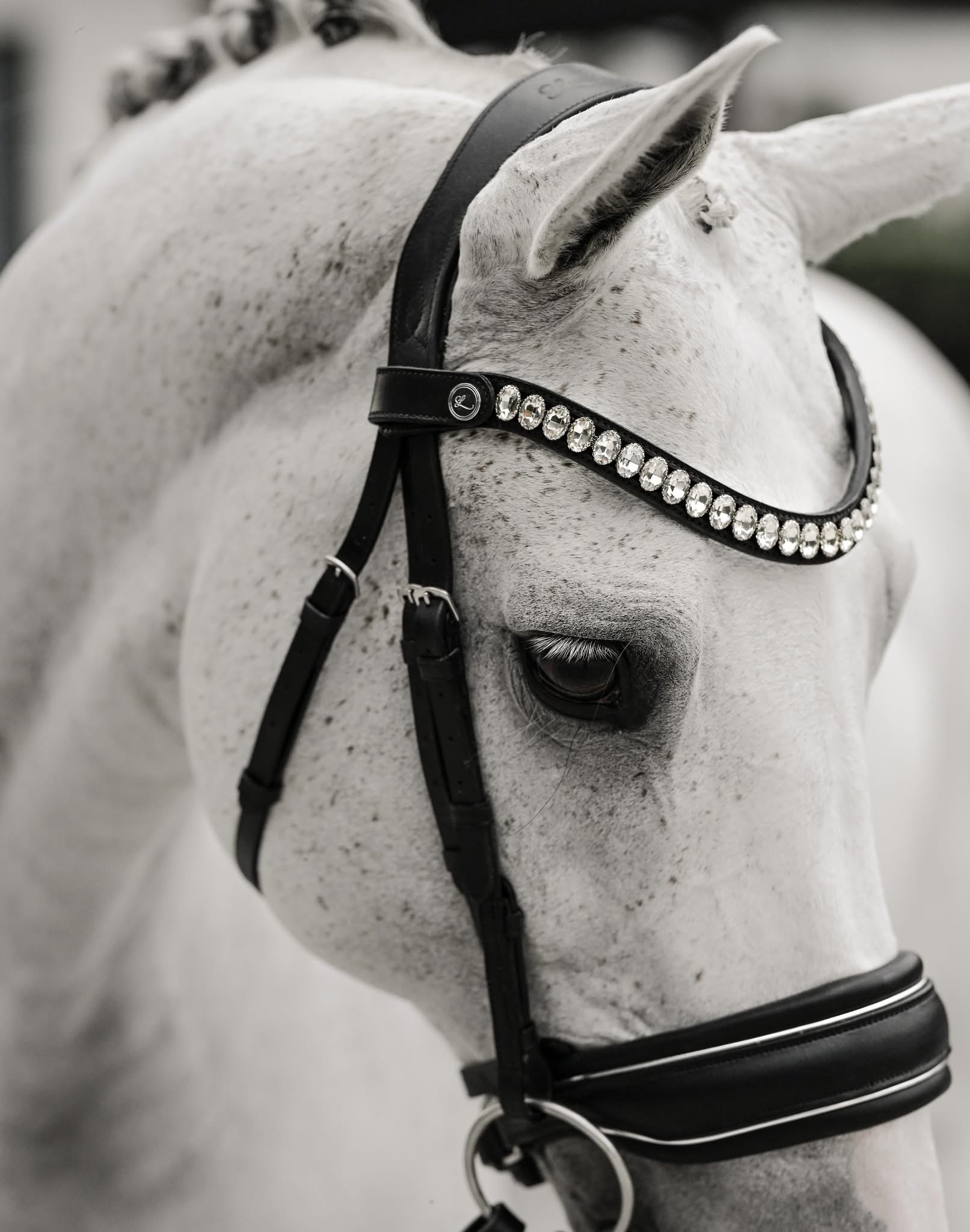 Lumiere Diva Browband - Black Cob