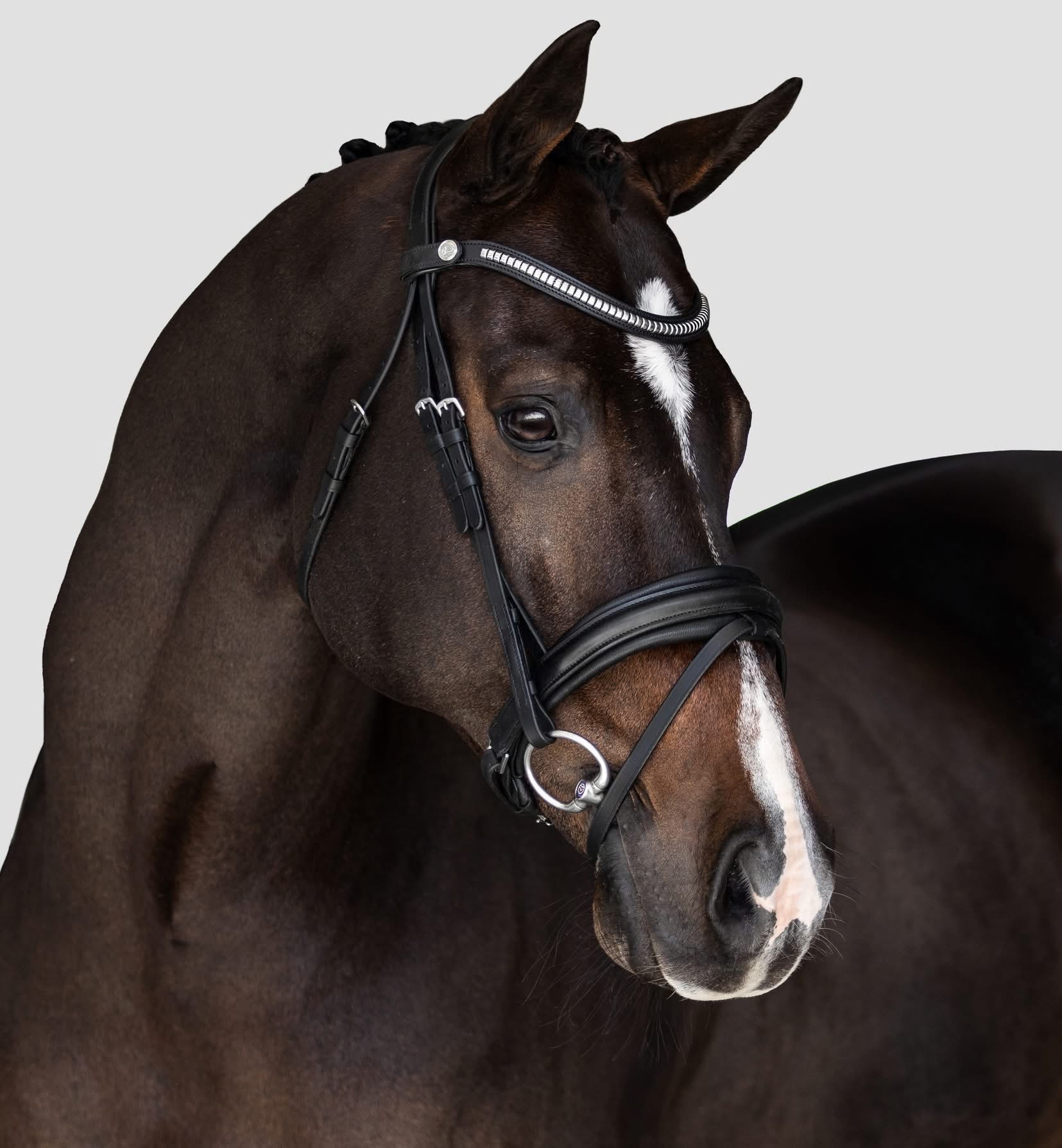Lumiere Melodie Classic Bridle