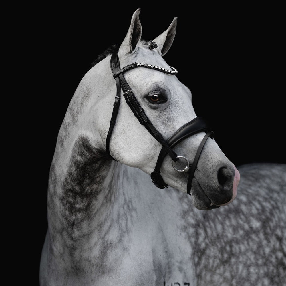 Lumiere Lumi Pony Abigail Bridle - Black Pony