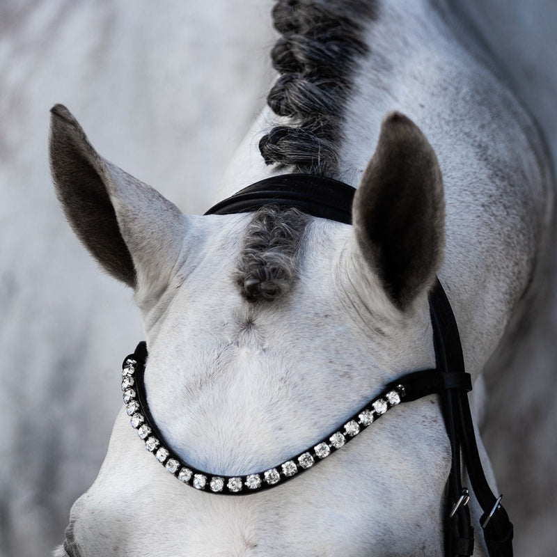 Lumiere Lumi Pony Abigail Bridle - Black Pony