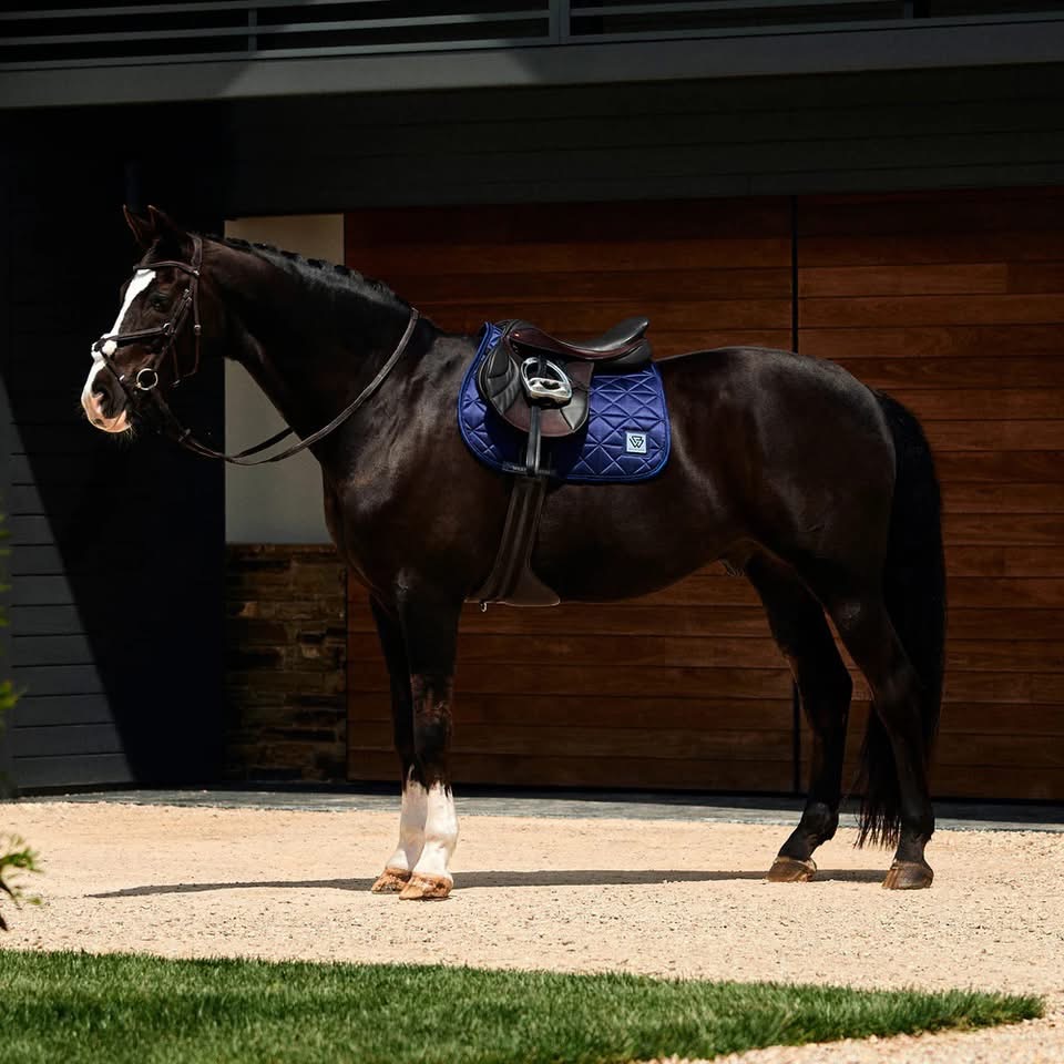 Weatherbeeta Satin Pro Dressage Pad Navy - Large