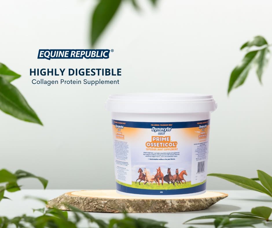 Dynavite Prime 2kg