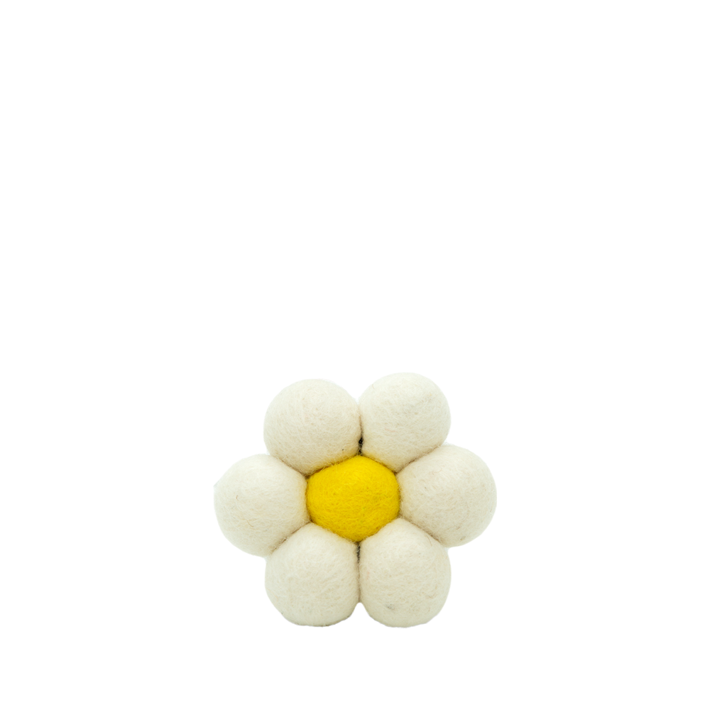 Daisypom- White