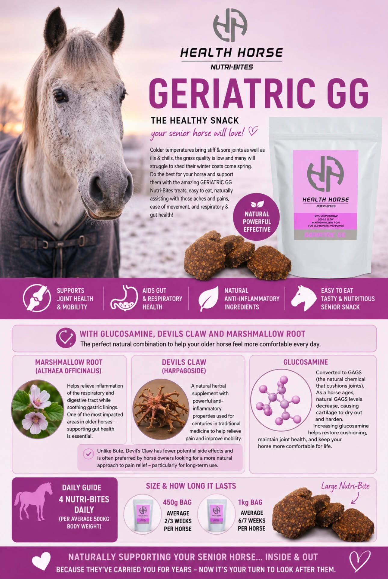 Health Horse Geriatric Nutri-Bites 450gm