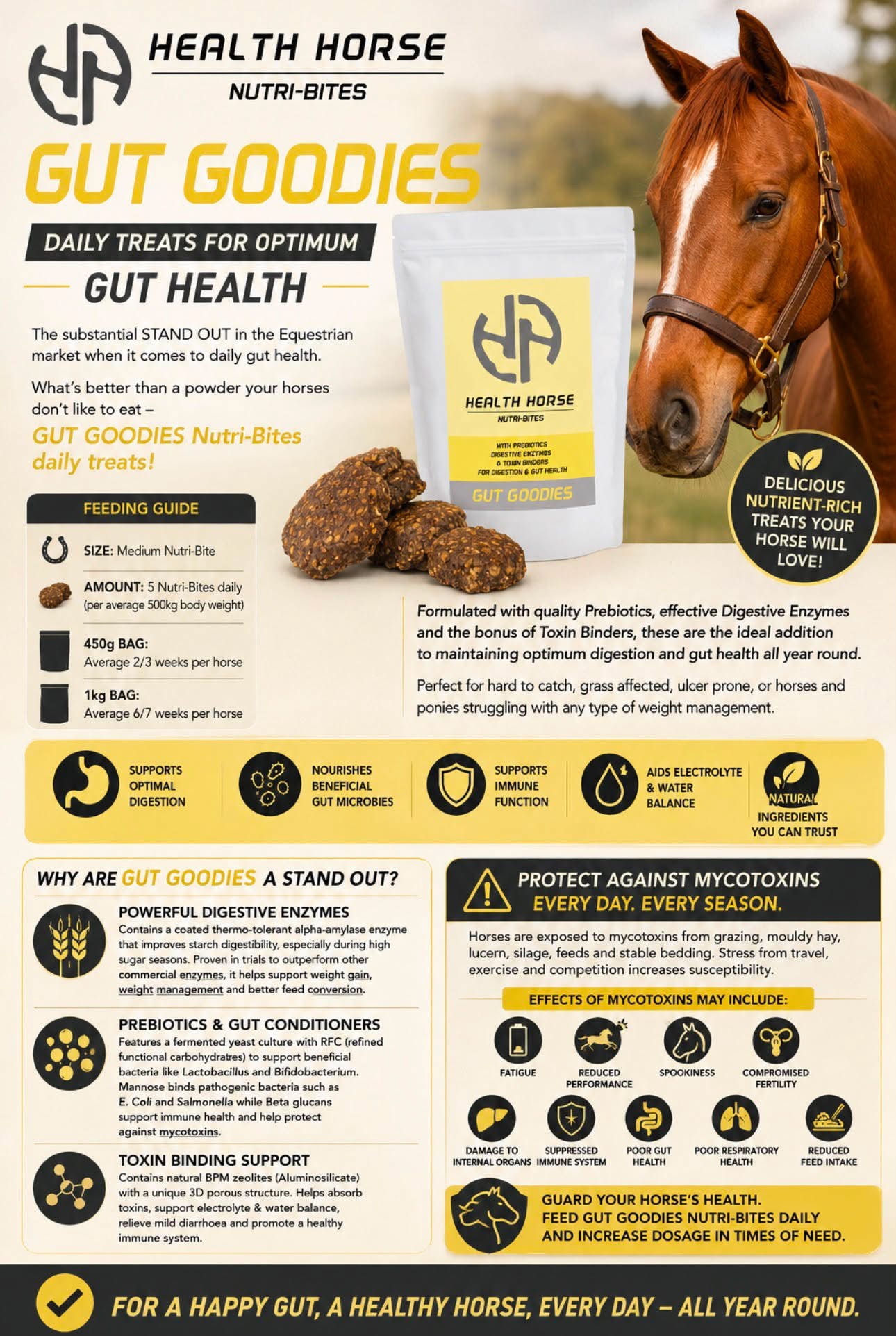 Health Horse Gut Goodies Nutri-Bites 450gm