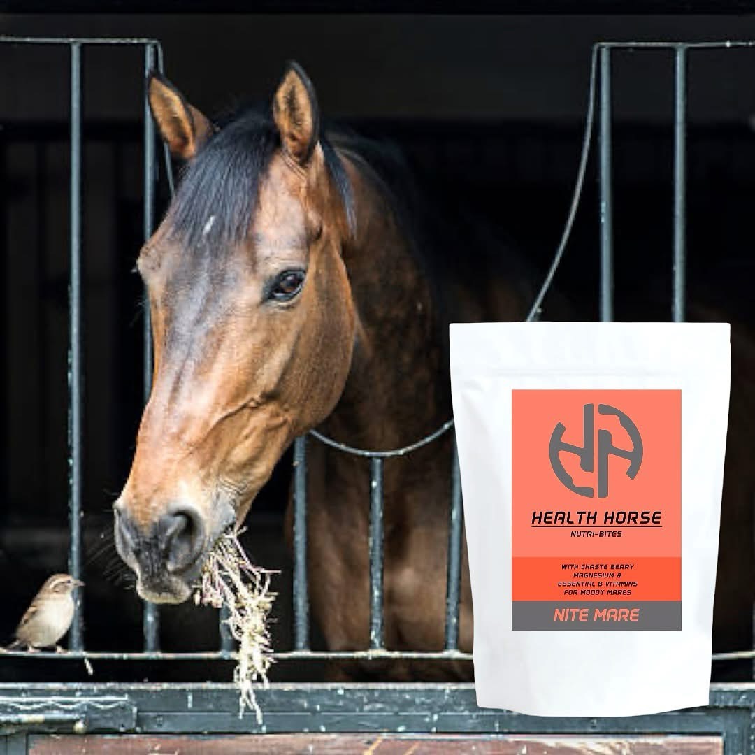 Health Horse Nite Mare Nutri-Bites 450gm
