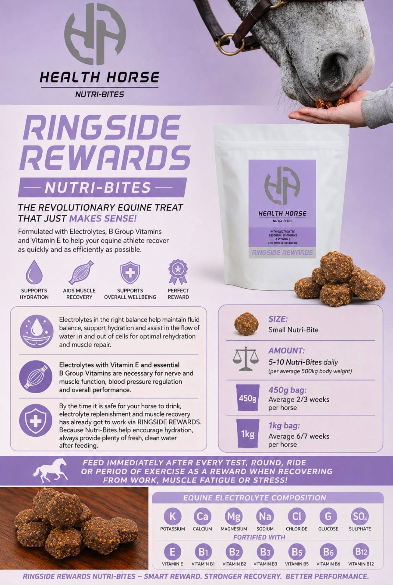 Health Horse Ringside Rewards Nutri-Bites 450gm