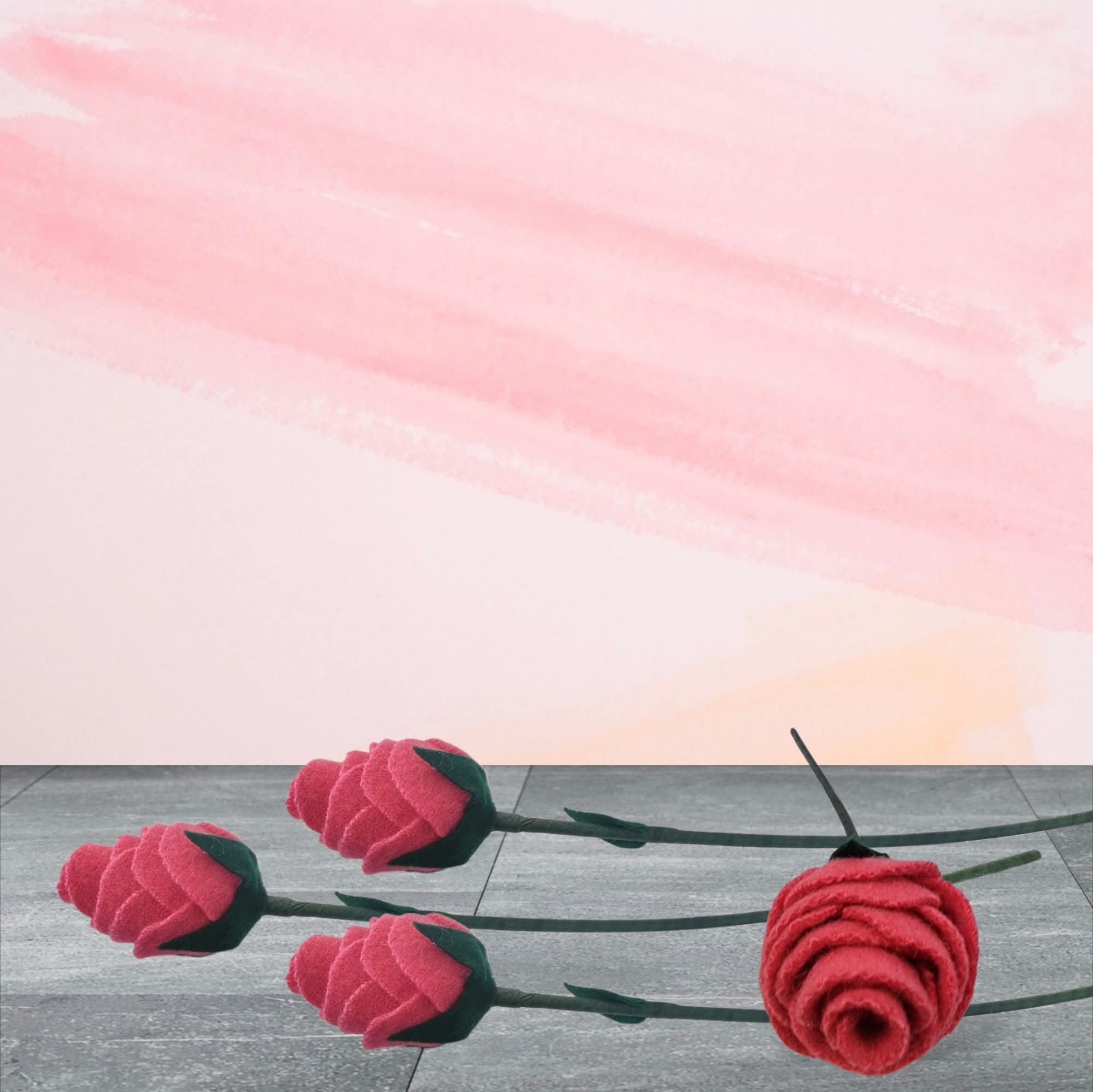 Forever Blanket Roses - Random colour