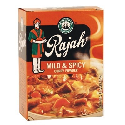 Rajah Curry Powder 100g - Mild and Spicy