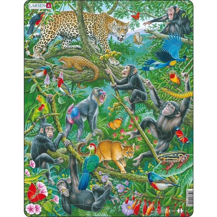 African Rain Forest Puzzle