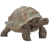 Schleich - Giant Tortoise